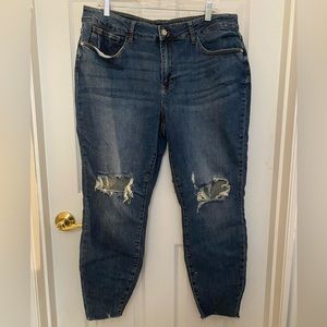 Judy Blue Skinny Fit jeans, size 18W